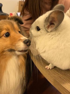 image-13-01-26-10-23-1