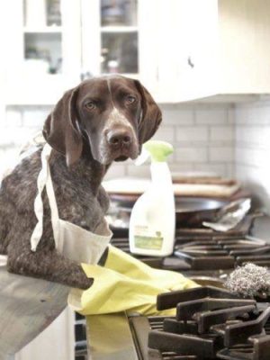 image-13-01-26-10-25-1