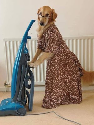 image-13-01-26-10-25-2