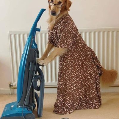 image-13-01-26-10-25-2