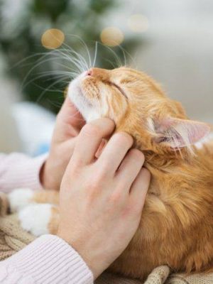 image-13-01-26-10-25-3