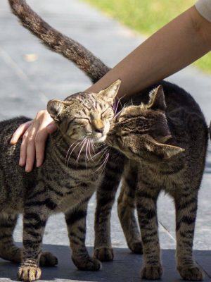 image-13-01-26-10-26-2