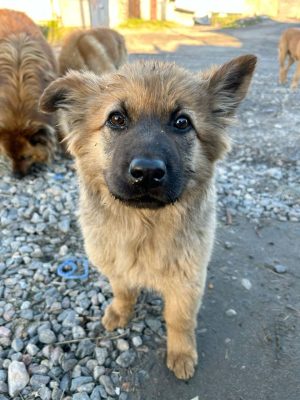 image-13-01-26-10-26-3