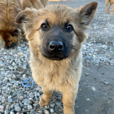 image-13-01-26-10-26-3