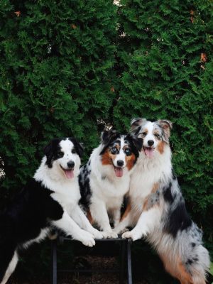 image-13-01-26-10-26