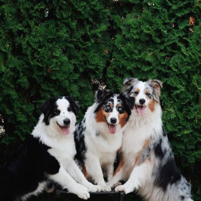 image-13-01-26-10-26