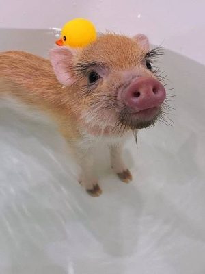 image-13-01-26-10-27-2