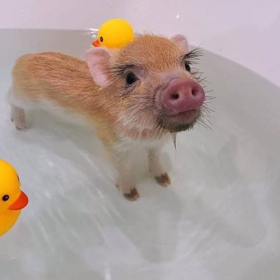 image-13-01-26-10-27-2