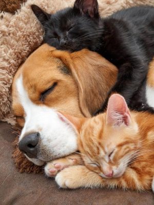 image-13-01-26-10-31-1