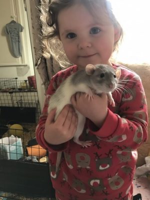 image-13-01-26-10-31-3