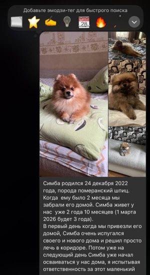 image-13-01-26-10-35-1