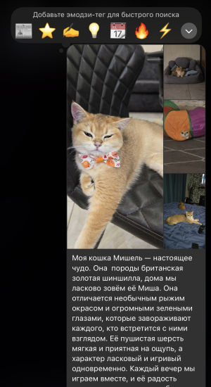 image-13-01-26-10-35-1