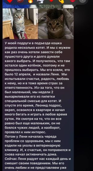 image-13-01-26-10-35-3