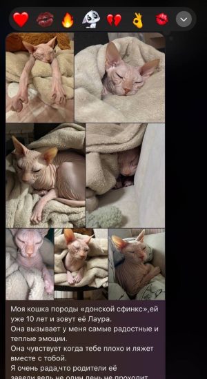 image-13-01-26-10-35-4