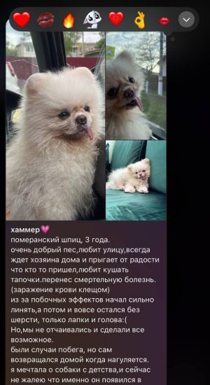 image-13-01-26-10-35-5